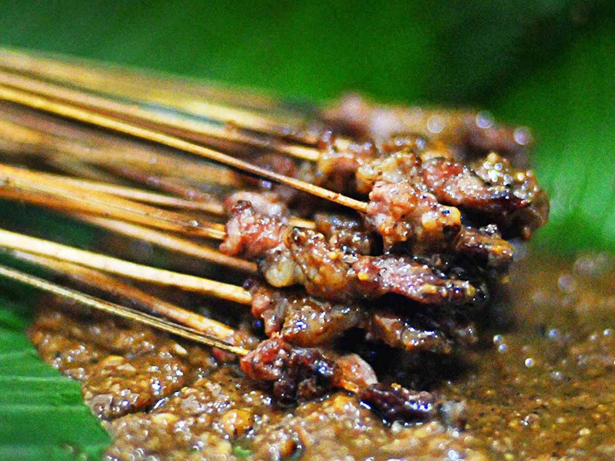 Sate lalat